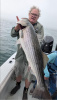 Striper Fishing Charters RI